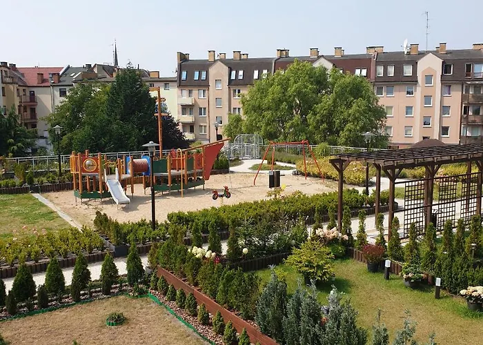 Roza Wiatrow シフィノウイシチェ